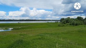 Весёлая,душевная песня 🎶«Гармонь зовёт»!Поёт Андрей Киреев Тенор Сибири 💥🔥