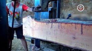 The Extraordinary Sensation of Cutting Wood Green Skin Most Hard Wood in Factory