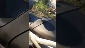Мой сузуки скайвей 250