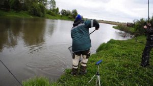 Ловля карпа на платном водоеме весной в мае месяце.