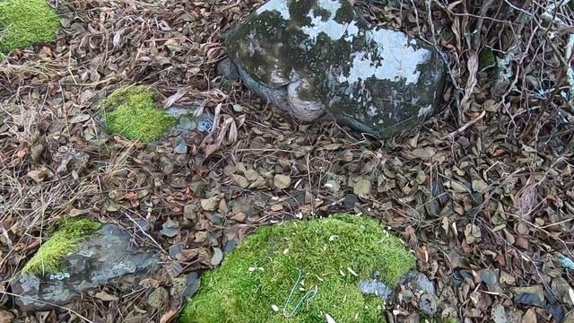 СУМАСШЕДШАЯ РЫБАЛКА!!! ЛОВЛЯ ЩУКИ НА ПАЛКУ. САМЫЙ БЮДЖЕТНИЙ ВОБЛЕР ЗА 10 МИНУТ. / #рыбалка /#щука смотреть онлайн