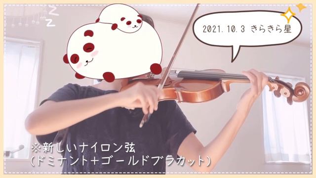 弦を変えたら試しに弾いてみた動画