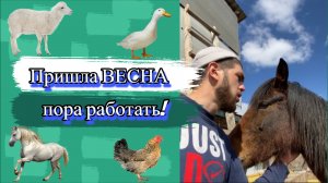 Пришла Весна- пора работать!