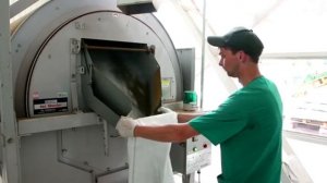 Tea production. Сбор и производство чая на Мацестинской чайной фабрике