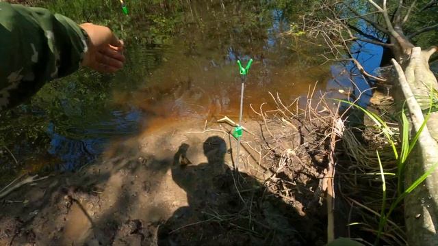 Отчёт о первой рыбалке в июне на поплавок! Рыбалка на фидер в озере и на реке смотреть онлайн