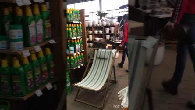 Наши куры. Сею бархатцы, декоративный горошек. Садовый центр. смотреть онлайн