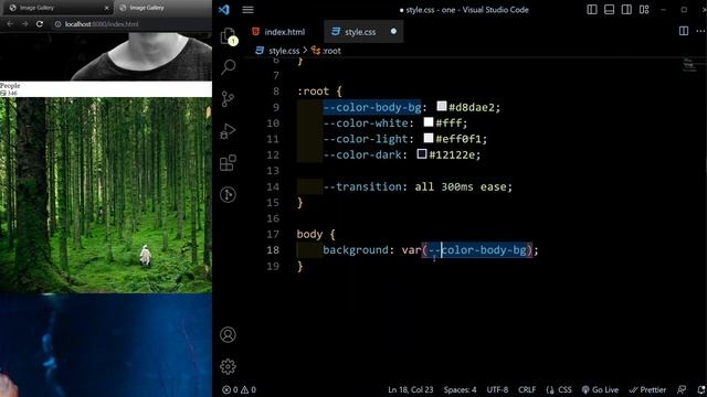 Image Gallery Website Design using HTML and CSS Project Tutorial For Beginners