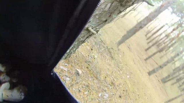 белый гриб уже есть очень красивые смотреть онлайн