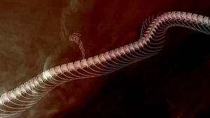 Metal Gear Solid 3: Snake Eater - Intro [HD]