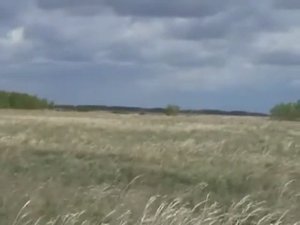 Там где я родился