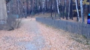 озеро Песчаное Екатеринбург