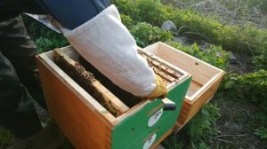 Как Легко Вывести Маток