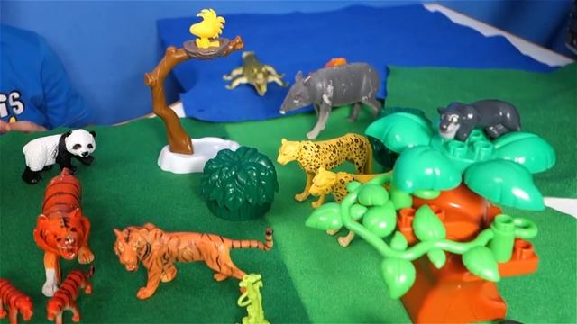 Путешествие в Джунгли с Lion Boy Животные Джунглей для Детей Детям про животных Видео для Детей смотреть онлайн