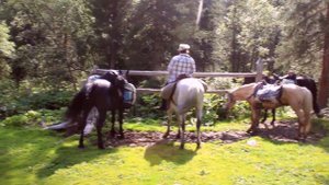 Конный поход к термальным источникам ЧОЙГАН | Восточный Саян - Бурятия - Тыва