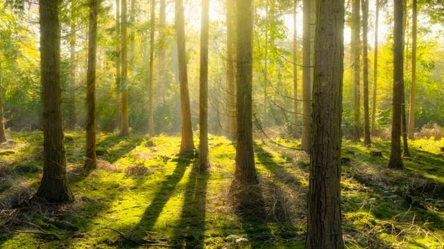 Уничтожить бессознательные блокировки и негатив 396 Гц