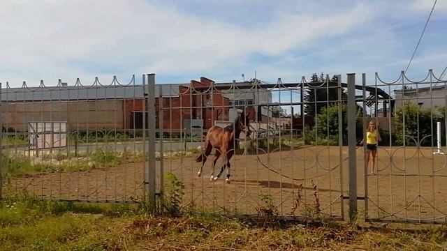Первая эколого-туристическая тропа в ОМСКЕ! 🤗🐣🐎 смотреть онлайн