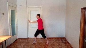 Урок по ушу. 470
