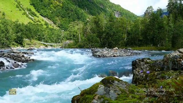 RELAX 4K Расслабляющие звуки природы, горная река под пение птиц для сна и отдыха #161 +0 смотреть онлайн