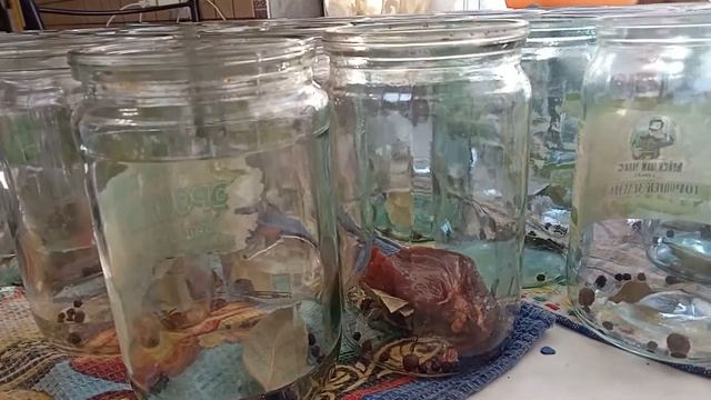 Готовлю мясо дикого кабана #shorts #мясо #дикий_кабан #дичь #простойрецепт смотреть онлайн