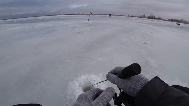 ОПУСТИЛ ПРИМАНКУ В ТЁМНУЮ ЛУНКУ МОЩНЫЙ УДАР И ЗАГИБ УДОЧКИ...! Зимняя рыбалка в новом месте 2024.