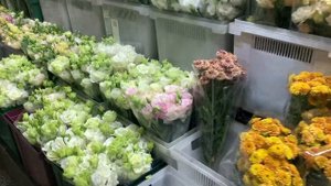 Обзор Рижского рынка цветов / цены, цветы, разнообразие выбора