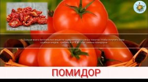 ?ПОМИДОР |TOMATO?Интересные_ФАКТЫ_об_ОВОЩЕ?ИНТЕРЕСНО??_ДЕТКАМ✨