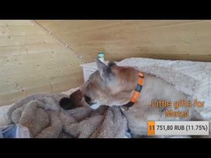 Прямой эфир. Ура! Весна!