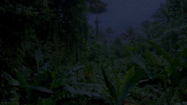 Звуки природы, звуки ночи в джунглях v.2