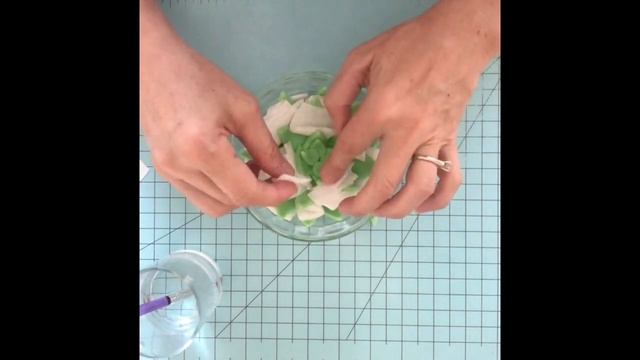 How to make 2 different kinds  of SUCCULENTS with fondant смотреть онлайн