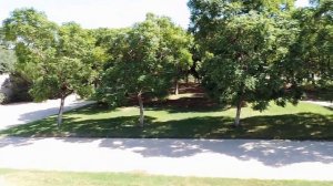 Валенсия, мост цветов