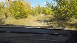 Renault Scenic RX4 ПОКАТУШКИ//Alex&РЕКС