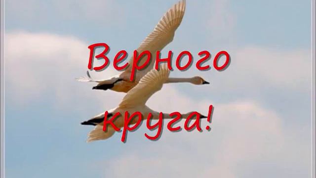 С Днём рождения, Станислав Юрьевич !) смотреть онлайн