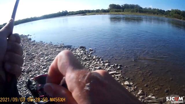 ТАЙМЕШКИ И ЩУКИ В ГОРНОЙ РЕКЕ ХОР?ХАБАРОВСКИЙ КРАЙ