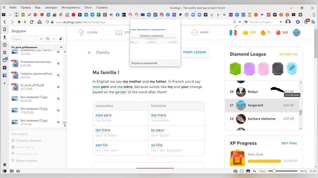 Французcкий язык (duolingo) смотреть онлайн