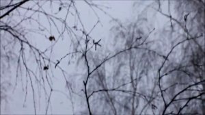 С любимыми не расставайтесь. К/ф "Ирония Судьбы"