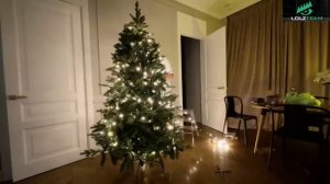 КАЯ и ПАРАДЕЕВИЧ УКРАШАЮТ ЕЛОЧКУ