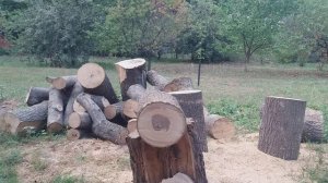 Stihl ms 251&026!