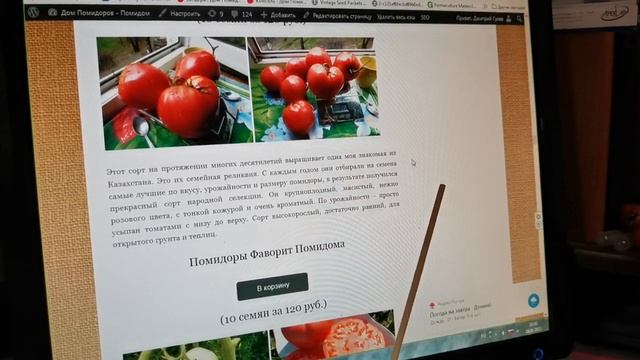 Рассказываю о сортах Красных Томатов 2023 сайта POMIDOM.RU третья часть!