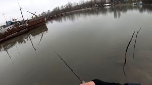 Зимний микроджиг❄ XESTA Black Star Extra Tuned S64UL-S - первые впечатления