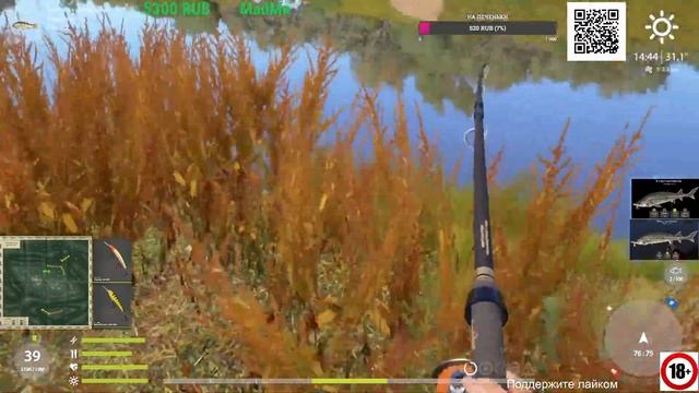 Русская Рыбалка 4// Russian Fishing 4// Белуга каспийская 384 кг. смотреть онлайн