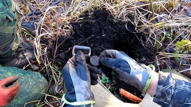 Он нас ждал 200 лет. Установили фото ловушку, узнать кто не закапывает ямки. смотреть онлайн