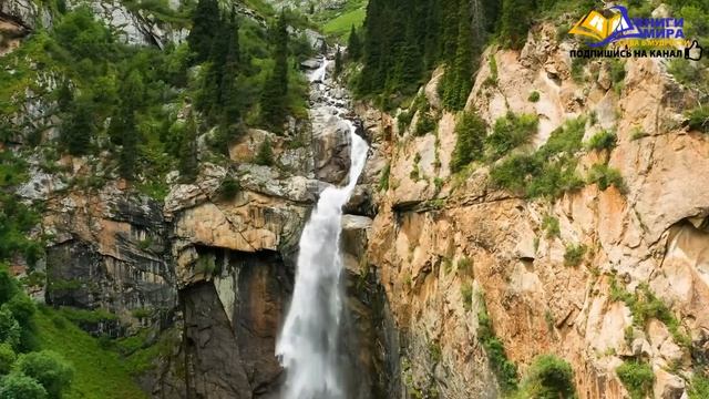 Какими Сверхспособностями Обладает Просветленный?! l НИКОШО и Роберт Адамс смотреть онлайн