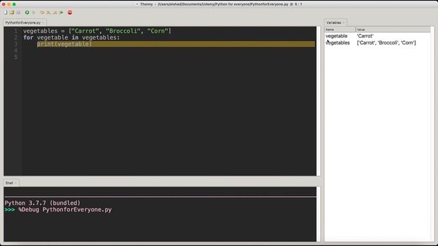 Lecture 22 - For Loops (Iteration) in Python