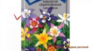 Аквилегия обыкновенная Смесь окрасок ? обзор: как сажать, семена аквилегии Смесь окрасок