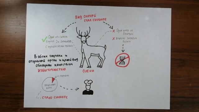 Антихрупкость. Нассим Талеб (Саммари за 7 минут)