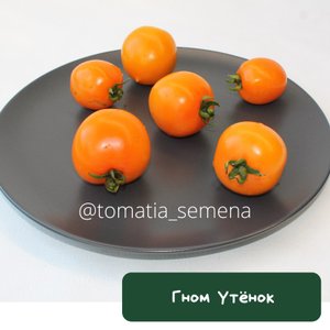 Гном Утенок