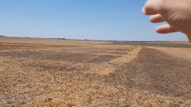Выращивание зимующего гороха. No-till 20.06.2019. Гербицид и КАС смотреть онлайн
