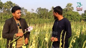 গ্লাডিওলাস ফুলের সফল চাষী মোঃ ওবায়দুল্লাহ  Gladiolus Flowers Farmer // Sobuj Bangla Tv2