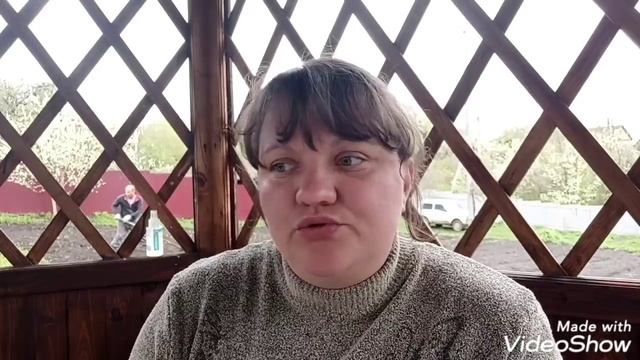 Корм SIRIUS для собак и кошек. Снимаем пробу. смотреть онлайн