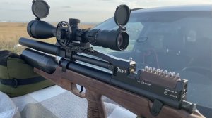 Коротыш первый отстрел...